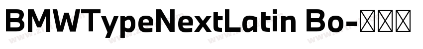 BMWTypeNextLatin Bo字体转换